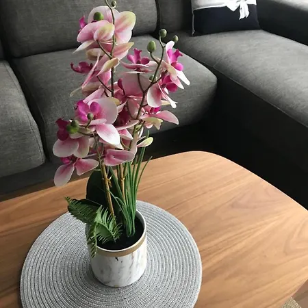 And Elegant Apartment. Apartament Salt